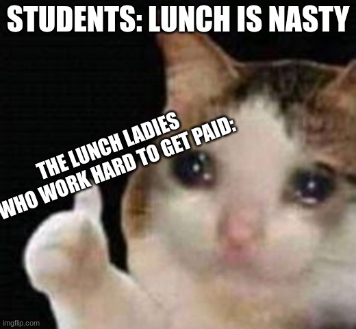 Be respectful to lunch ladies | STUDENTS: LUNCH IS NASTY; THE LUNCH LADIES WHO WORK HARD TO GET PAID: | image tagged in approved crying cat | made w/ Imgflip meme maker