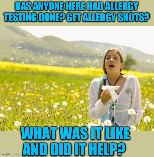 I have an allergy test scheduled,  I'm a bit nervous | HAS ANYONE HERE HAD ALLERGY TESTING DONE? GET ALLERGY SHOTS? WHAT WAS IT LIKE AND DID IT HELP? | image tagged in allergy | made w/ Imgflip meme maker