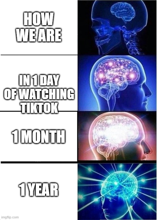 Expanding Brain Meme |  HOW WE ARE; IN 1 DAY OF WATCHING TIKTOK; 1 MONTH; 1 YEAR | image tagged in memes,expanding brain,facts | made w/ Imgflip meme maker