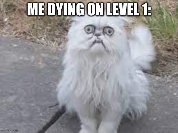 Wilfred Warrior | ME DYING ON LEVEL 1: | image tagged in wilfred warrior | made w/ Imgflip meme maker