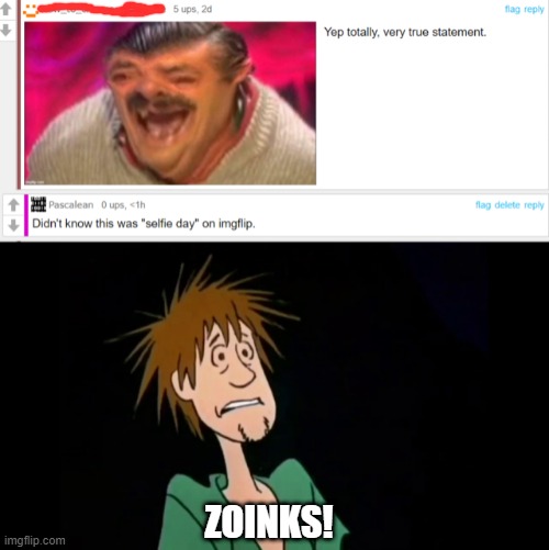 ZOINKS! | image tagged in zoinks | made w/ Imgflip meme maker