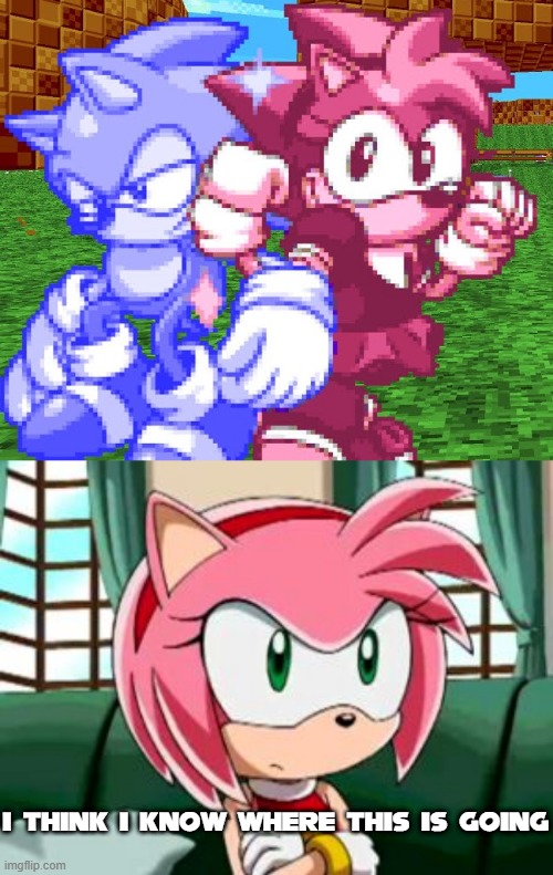 Did anyone else feel this way when Rose Gold Amy became compatible with crystal sonic? | I think I know where this is going | image tagged in unamused amy rose,memes | made w/ Imgflip meme maker