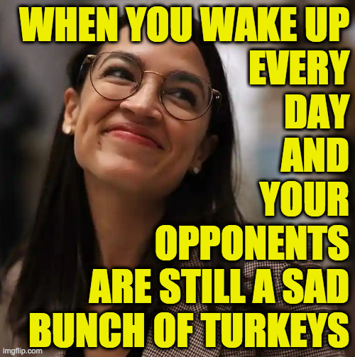 Imagining my future fiancée as President someday  ( : | WHEN YOU WAKE UP
EVERY
DAY
AND
YOUR
OPPONENTS
ARE STILL A SAD
BUNCH OF TURKEYS | image tagged in memes,right wing turkeys,aoc,future president | made w/ Imgflip meme maker