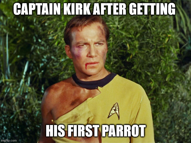 CAPTAIN KIRK AFTER GETTING; HIS FIRST PARROT | made w/ Imgflip meme maker