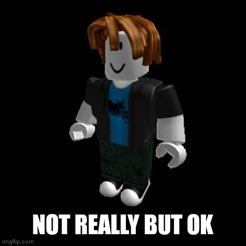 ROBLOX Meme | NOT REALLY BUT OK | image tagged in roblox meme | made w/ Imgflip meme maker