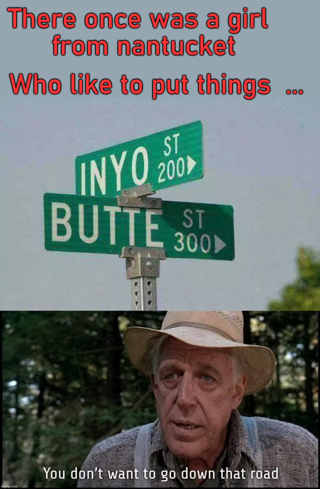 Limerick |  There once was a girl 
      from nantucket; Who like to put things  ... | image tagged in funny road signs,pet semetary,limerick | made w/ Imgflip meme maker