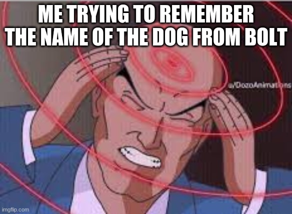 WHAT IS HIS NAME?! | ME TRYING TO REMEMBER THE NAME OF THE DOG FROM BOLT | image tagged in me trying to remember | made w/ Imgflip meme maker