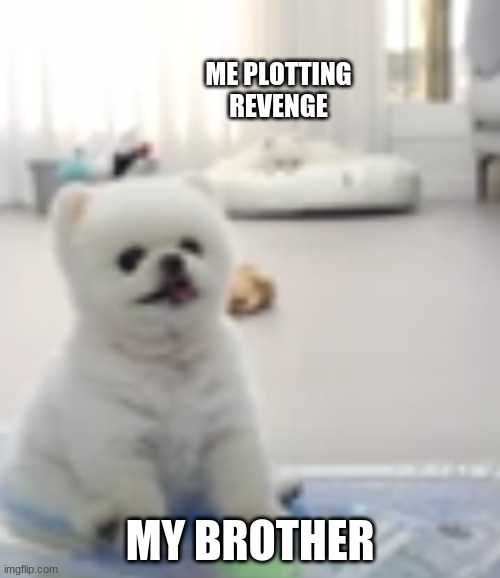 pupo | ME PLOTTING REVENGE; MY BROTHER | image tagged in lol | made w/ Imgflip meme maker