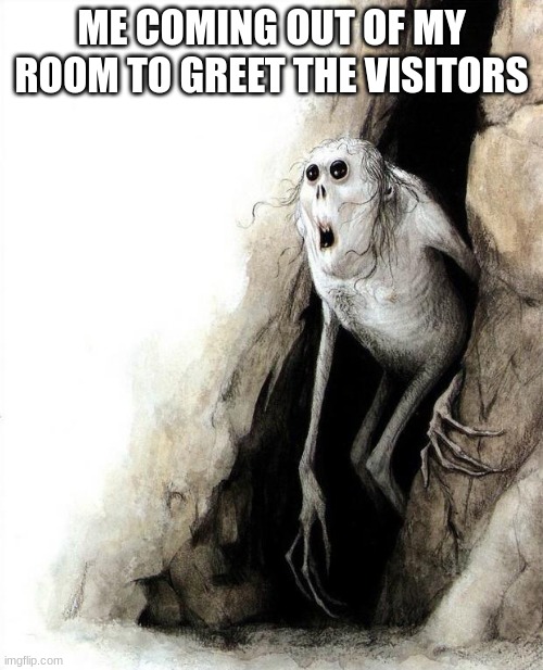 Me everytime | ME COMING OUT OF MY ROOM TO GREET THE VISITORS | image tagged in visiotrs,self isolation,viral meme | made w/ Imgflip meme maker