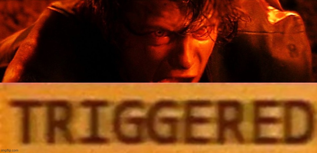 New meme format! | image tagged in triggered,anakin i hate you,new meme | made w/ Imgflip meme maker