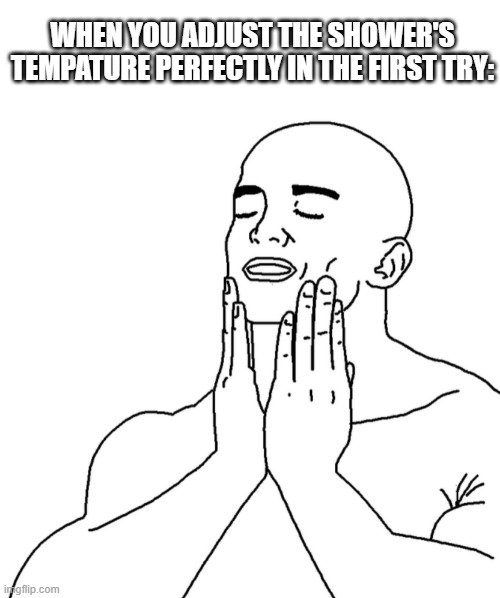 Perfect | WHEN YOU ADJUST THE SHOWER'S TEMPATURE PERFECTLY IN THE FIRST TRY: | image tagged in shave | made w/ Imgflip meme maker