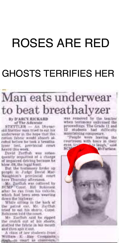 Funny title | ROSES ARE RED; GHOSTS TERRIFIES HER | image tagged in blank white template,memes,underwear,santa claus,stop reading the tags,oh wow are you actually reading these tags | made w/ Imgflip meme maker