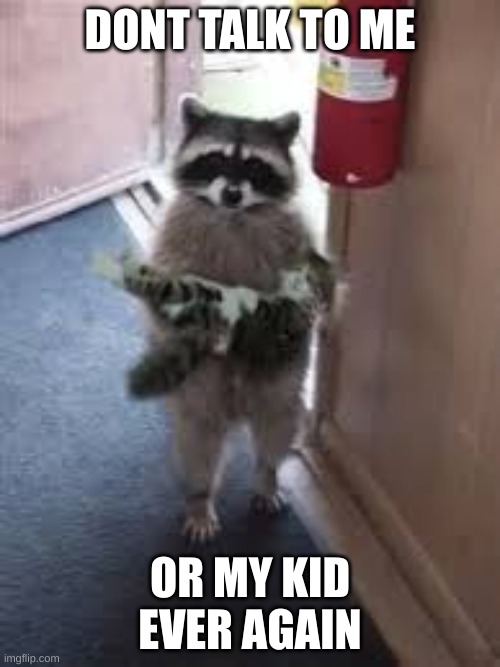 Racoon | DONT TALK TO ME; OR MY KID EVER AGAIN | image tagged in racoon | made w/ Imgflip meme maker