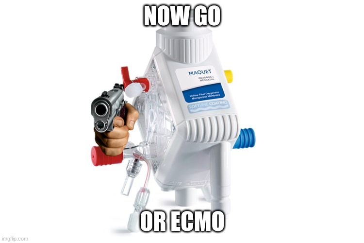 if someone is making you mad, send them this | NOW GO; OR ECMO | image tagged in oxymoron | made w/ Imgflip meme maker
