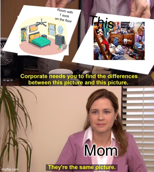 It’s sad, but relatable | Room with 1 sock on the floor; This; Mom | image tagged in memes,they're the same picture,relatable,mom,bedroom,tag | made w/ Imgflip meme maker