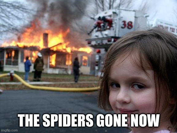 Disaster Girl | THE SPIDERS GONE NOW | image tagged in memes,disaster girl | made w/ Imgflip meme maker