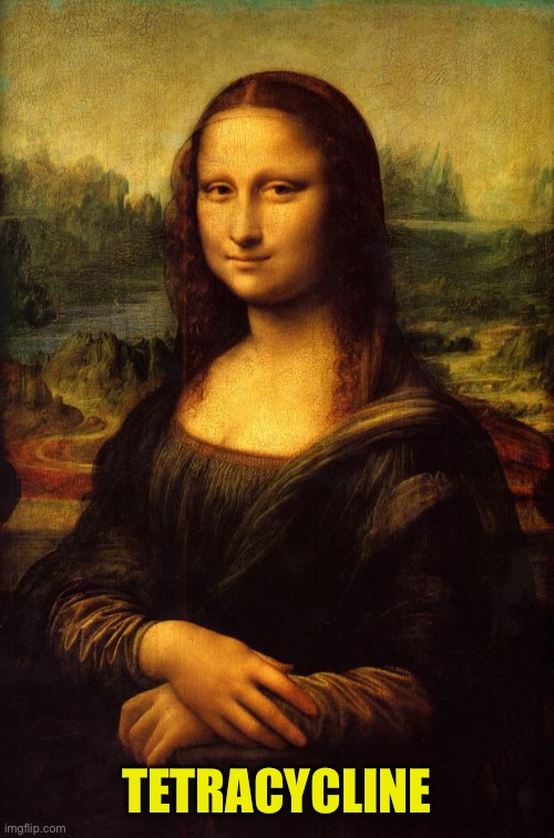The Mona Lisa | TETRACYCLINE | image tagged in the mona lisa,tetracycline | made w/ Imgflip meme maker