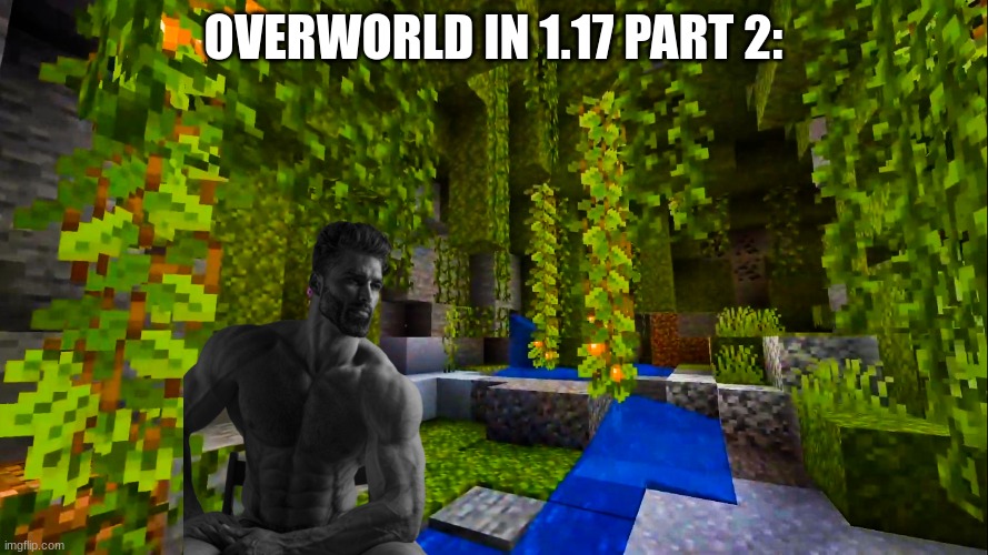 Minecraft 1.17 Lush Cave | OVERWORLD IN 1.17 PART 2: | image tagged in minecraft 1 17 lush cave | made w/ Imgflip meme maker