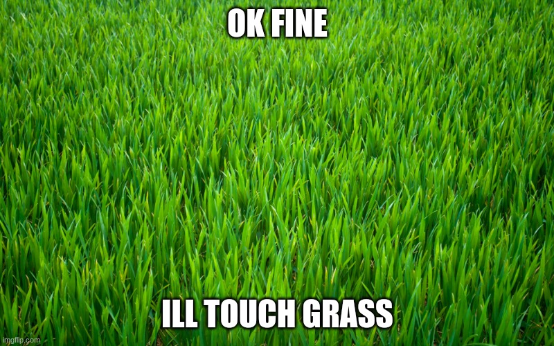 Grass | OK FINE ILL TOUCH GRASS | image tagged in grass | made w/ Imgflip meme maker