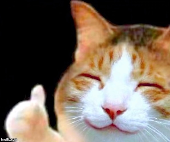 Happy Thumbs Up Cat | image tagged in happy thumbs up cat | made w/ Imgflip meme maker