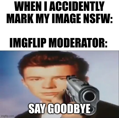 oops i did it again | WHEN I ACCIDENTLY MARK MY IMAGE NSFW:; IMGFLIP MODERATOR:; SAY GOODBYE | image tagged in say goodbye,whoops,bruh,moderators,suck it | made w/ Imgflip meme maker