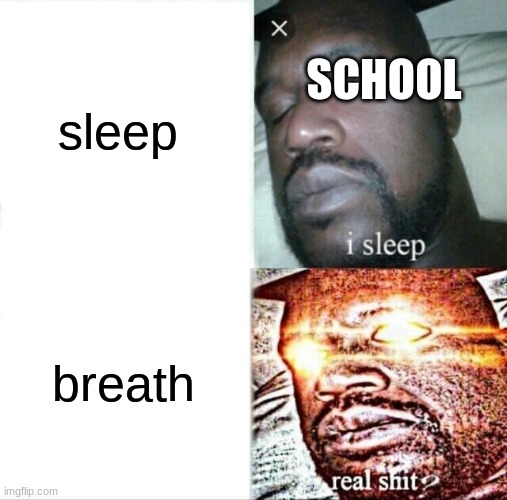 Sleeping Shaq Meme | sleep; SCHOOL; breath | image tagged in memes,sleeping shaq | made w/ Imgflip meme maker