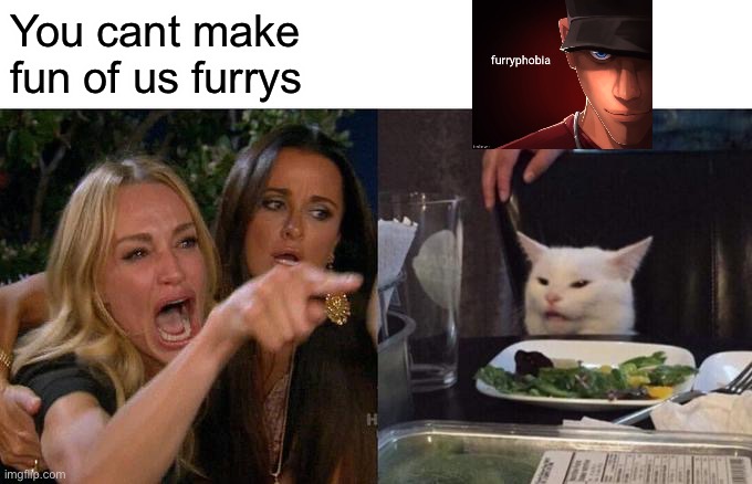 Hahah furrys cant do crap | You cant make fun of us furrys | image tagged in memes,woman yelling at cat | made w/ Imgflip meme maker