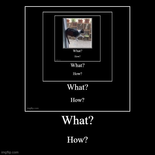 What? How? | image tagged in funny,demotivationals | made w/ Imgflip demotivational maker