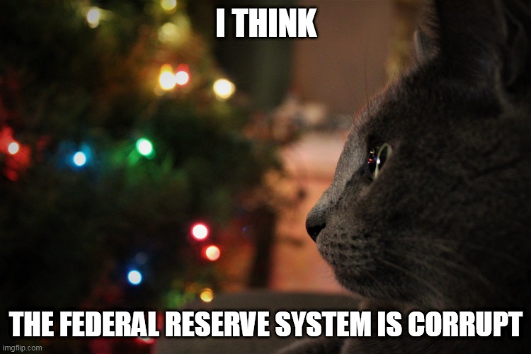 Cat contemplating | I THINK; THE FEDERAL RESERVE SYSTEM IS CORRUPT | image tagged in cat contemplating christmas,cat,christmas,federal reserve | made w/ Imgflip meme maker