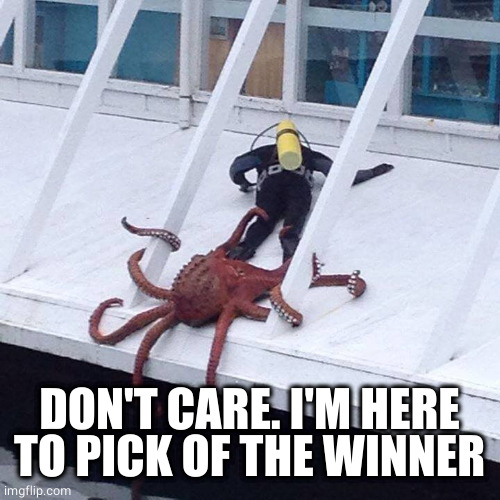 octopus | DON'T CARE. I'M HERE TO PICK OF THE WINNER | image tagged in octopus | made w/ Imgflip meme maker