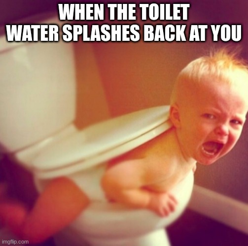 WHEN THE TOILET WATER SPLASHES BACK AT YOU | image tagged in meme | made w/ Imgflip meme maker