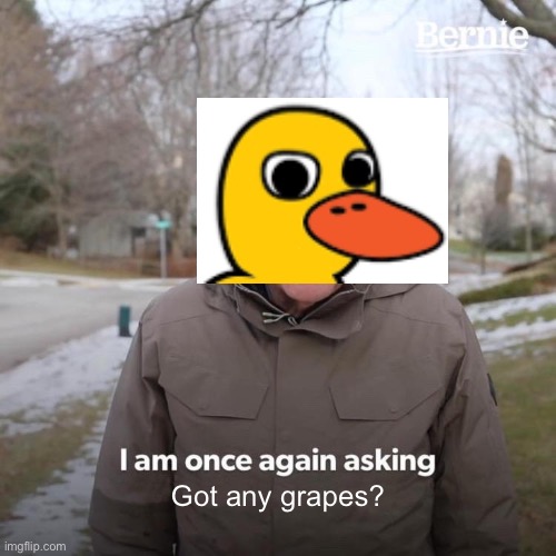 Then he waddled away… | Got any grapes? | image tagged in memes,bernie i am once again asking for your support | made w/ Imgflip meme maker