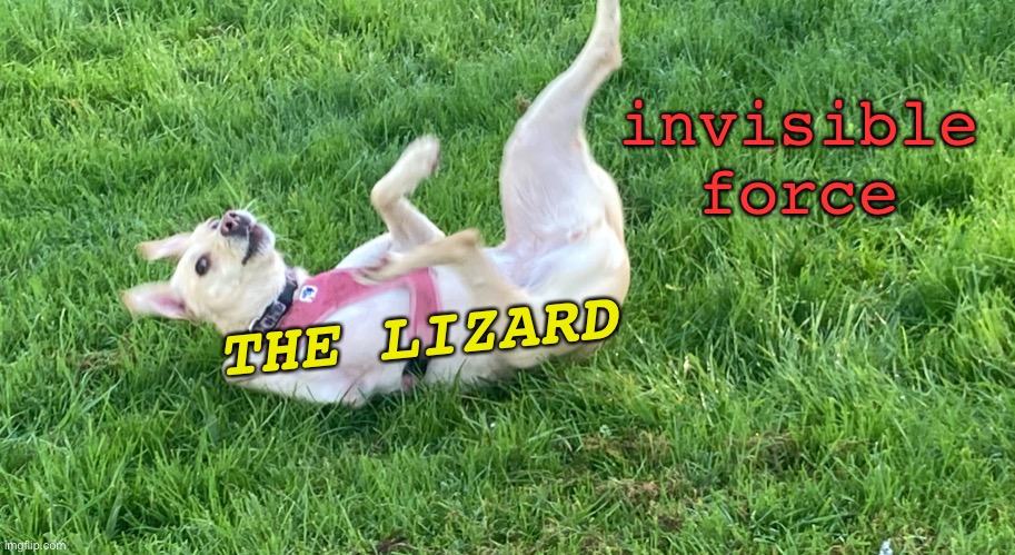 The Lizard in the Spider-Man No Way Home Trailer | invisible force; THE LIZARD | image tagged in doggo falling back,dog,spiderman,no way home,the lizard,marvel | made w/ Imgflip meme maker