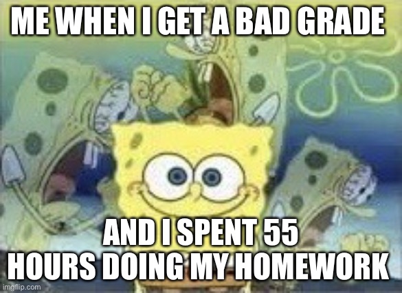 SpongeBob Internal Screaming | ME WHEN I GET A BAD GRADE; AND I SPENT 55 HOURS DOING MY HOMEWORK | image tagged in spongebob internal screaming | made w/ Imgflip meme maker