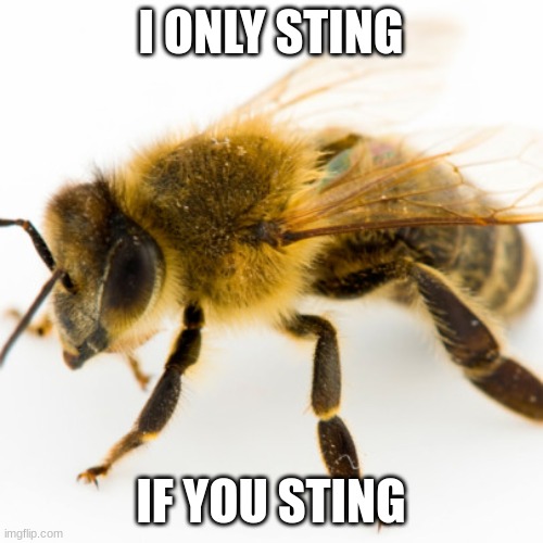 honeybee | I ONLY STING IF YOU STING | image tagged in honeybee | made w/ Imgflip meme maker