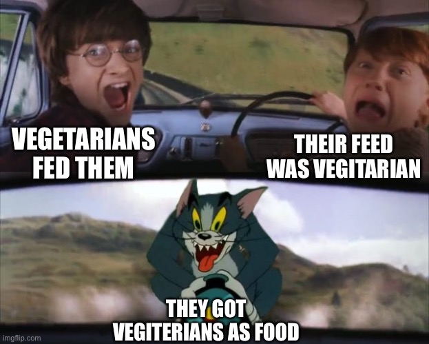 Tom chasing Harry and Ron Weasly | VEGETARIANS FED THEM THEIR FEED WAS VEGITARIAN THEY GOT VEGITERIANS AS FOOD | image tagged in tom chasing harry and ron weasly | made w/ Imgflip meme maker