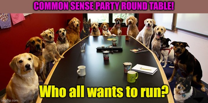 Round table |  COMMON SENSE PARTY ROUND TABLE! Who all wants to run? | image tagged in dog round table,knights of the round table,common sense,party | made w/ Imgflip meme maker
