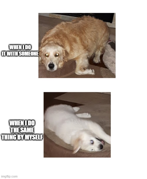 Bored doggo and happy doggo | WHEN I DO IT WITH SOMEONE; WHEN I DO THE SAME THING BY MYSELF | image tagged in bored doggo and happy doggo | made w/ Imgflip meme maker