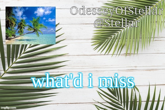 palms | what'd i miss | image tagged in palms | made w/ Imgflip meme maker