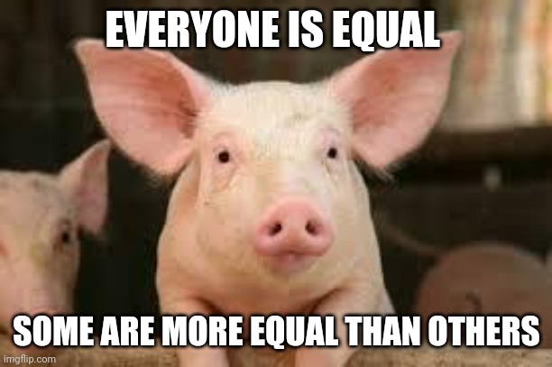 pig | EVERYONE IS EQUAL; SOME ARE MORE EQUAL THAN OTHERS | image tagged in pig | made w/ Imgflip meme maker