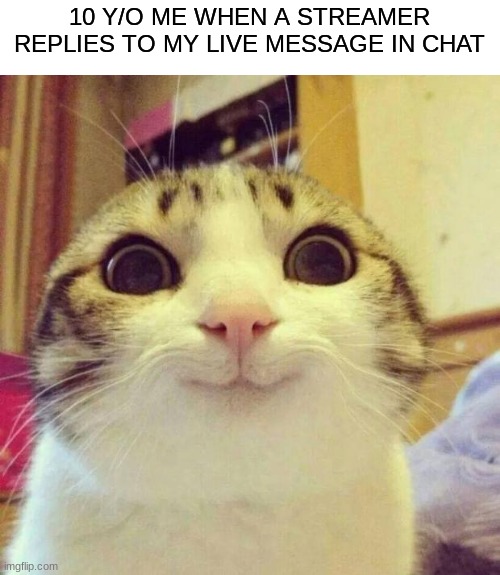 Wait a second...this is wholesome content! | 10 Y/O ME WHEN A STREAMER REPLIES TO MY LIVE MESSAGE IN CHAT | image tagged in memes,smiling cat,happi,hehehe,streamer reply | made w/ Imgflip meme maker