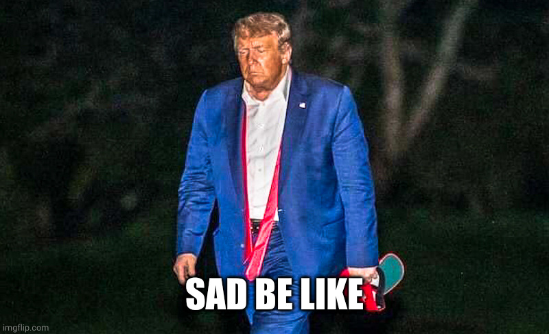 Defeated Trump Meme | SAD BE LIKE | image tagged in defeated trump meme | made w/ Imgflip meme maker