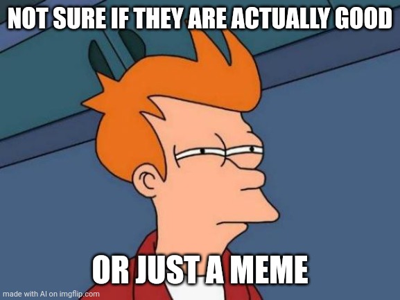 Futurama Fry | NOT SURE IF THEY ARE ACTUALLY GOOD; OR JUST A MEME | image tagged in memes,futurama fry | made w/ Imgflip meme maker