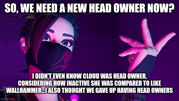 SO, WE NEED A NEW HEAD OWNER NOW? I DIDN'T EVEN KNOW CLOUD WAS HEAD OWNER, CONSIDERING HOW INACTIVE SHE WAS COMPARED TO LIKE WALLHAMMER...I ALSO THOUGHT WE GAVE UP HAVING HEAD OWNERS | image tagged in red jade explaining | made w/ Imgflip meme maker