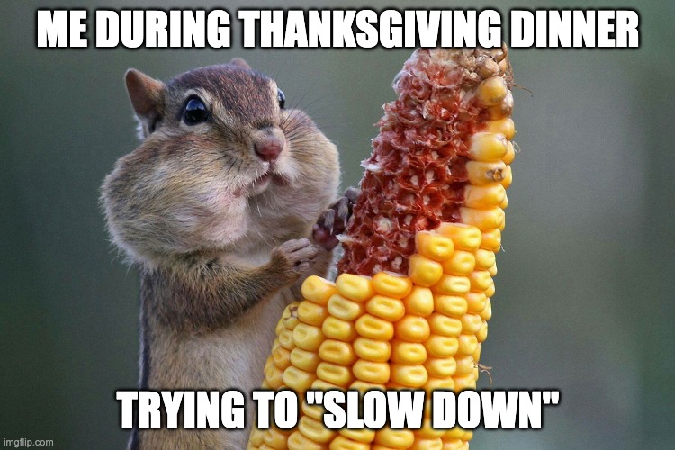 this is kinda late but... STILL ITS A CHIPMUNK OFF GOOGLE I HAD TO | ME DURING THANKSGIVING DINNER; TRYING TO "SLOW DOWN" | image tagged in jackalopianswhereuat,memes,funny,thanksgiving,chipmunk,eating | made w/ Imgflip meme maker