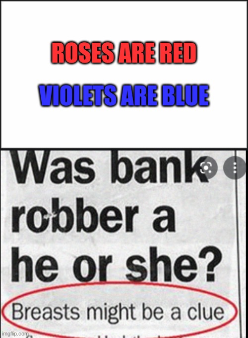 You don't say |  ROSES ARE RED; VIOLETS ARE BLUE | image tagged in plain white | made w/ Imgflip meme maker