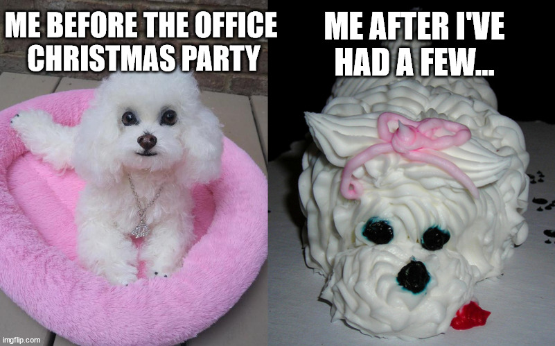 Splooch on a Pooch | ME AFTER I'VE HAD A FEW... ME BEFORE THE OFFICE 
CHRISTMAS PARTY | image tagged in funny animals,dogs,toy poodle,happy holidays,drinks,satan | made w/ Imgflip meme maker