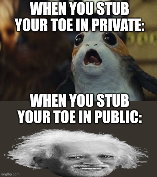 Pain |  WHEN YOU STUB YOUR TOE IN PRIVATE:; WHEN YOU STUB YOUR TOE IN PUBLIC: | image tagged in star wars porg,einstein laugh | made w/ Imgflip meme maker