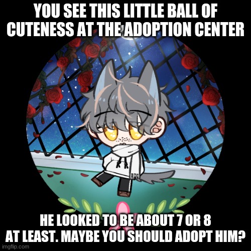 No joke OCs and no military OCs, any gender is ok :P | YOU SEE THIS LITTLE BALL OF CUTENESS AT THE ADOPTION CENTER; HE LOOKED TO BE ABOUT 7 OR 8 AT LEAST. MAYBE YOU SHOULD ADOPT HIM? | image tagged in roleplay,adoption | made w/ Imgflip meme maker