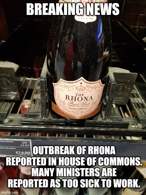 BREAKING NEWS; OUTBREAK OF RHONA REPORTED IN HOUSE OF COMMONS.
MANY MINISTERS ARE REPORTED AS TOO SICK TO WORK. | made w/ Imgflip meme maker